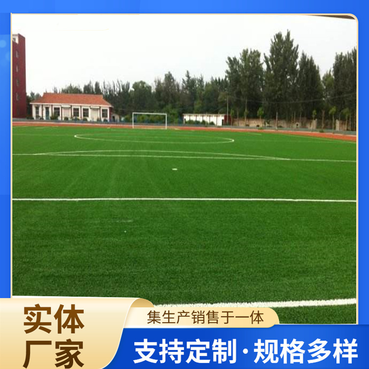 天水市橡胶跑道人造草坪 - 方案